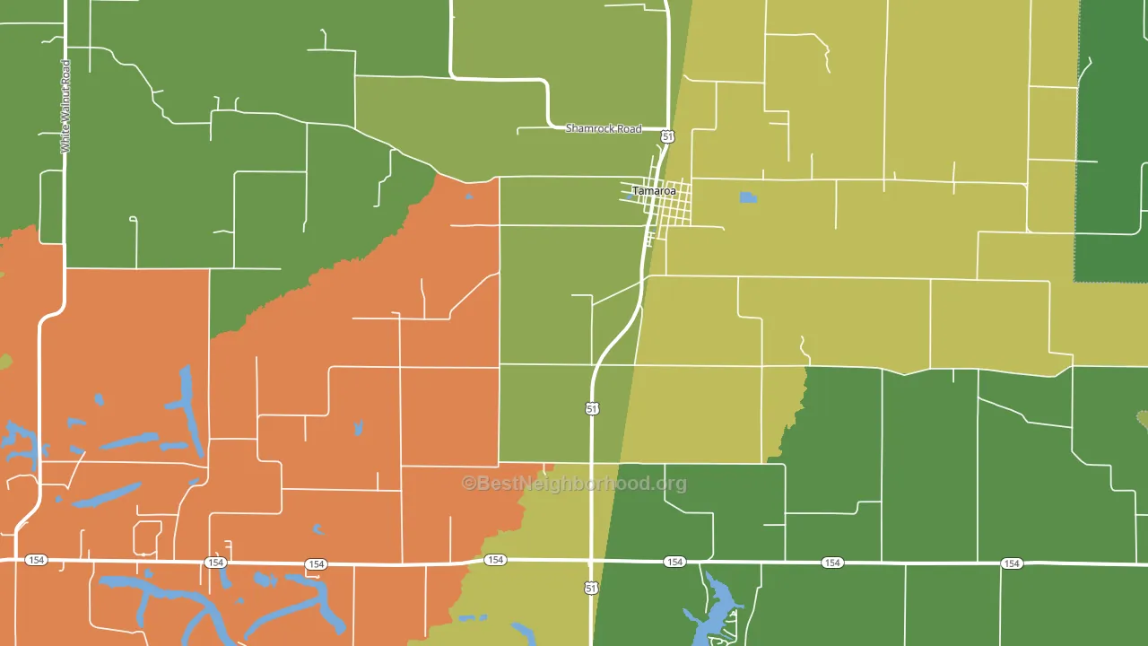 Tamaroa, IL block-group voter-turnout map
