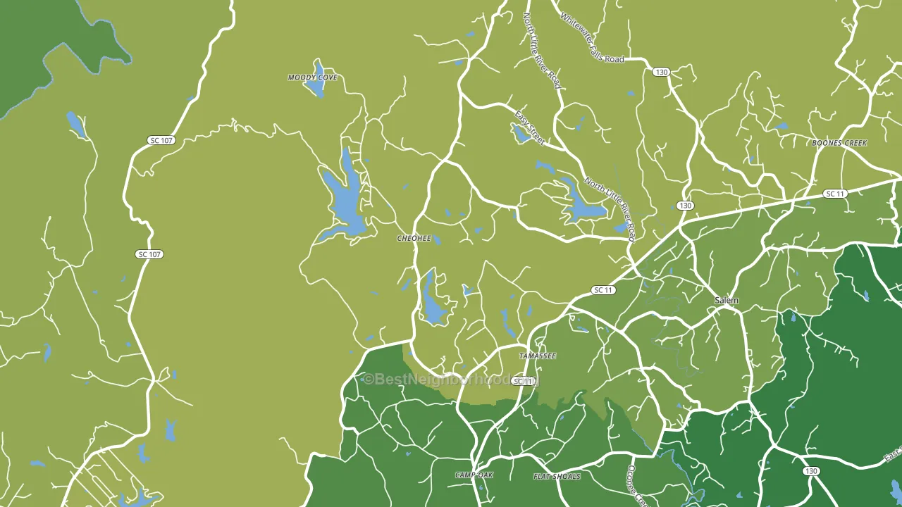 Tamassee, SC block-group voter-turnout map