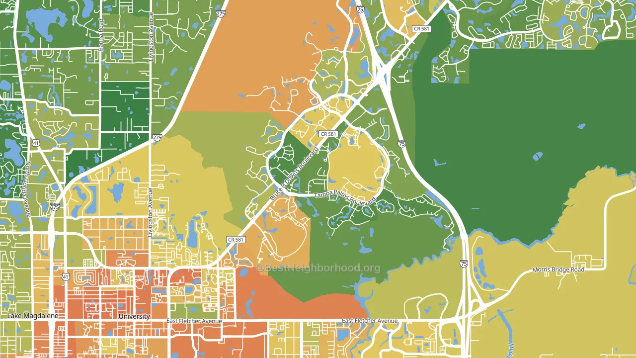 Tampa Palms, Tampa, FL block-group voter-turnout map