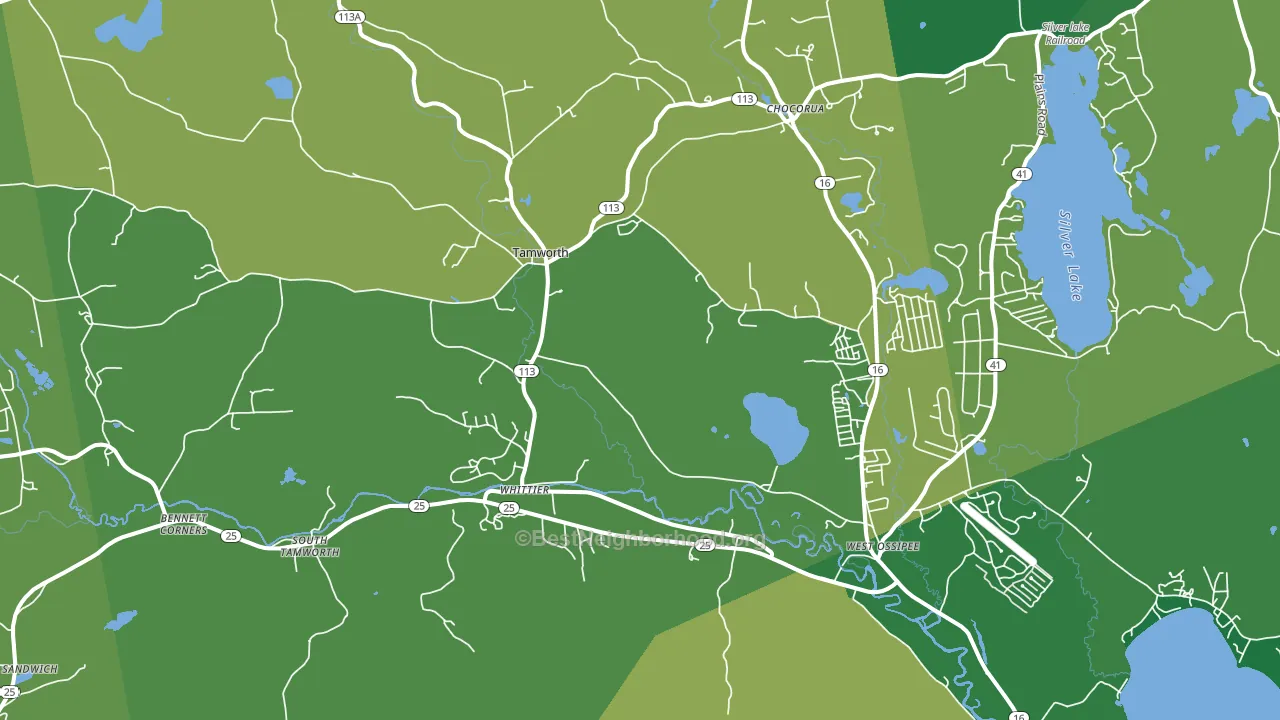 Tamworth, NH block-group voter-turnout map