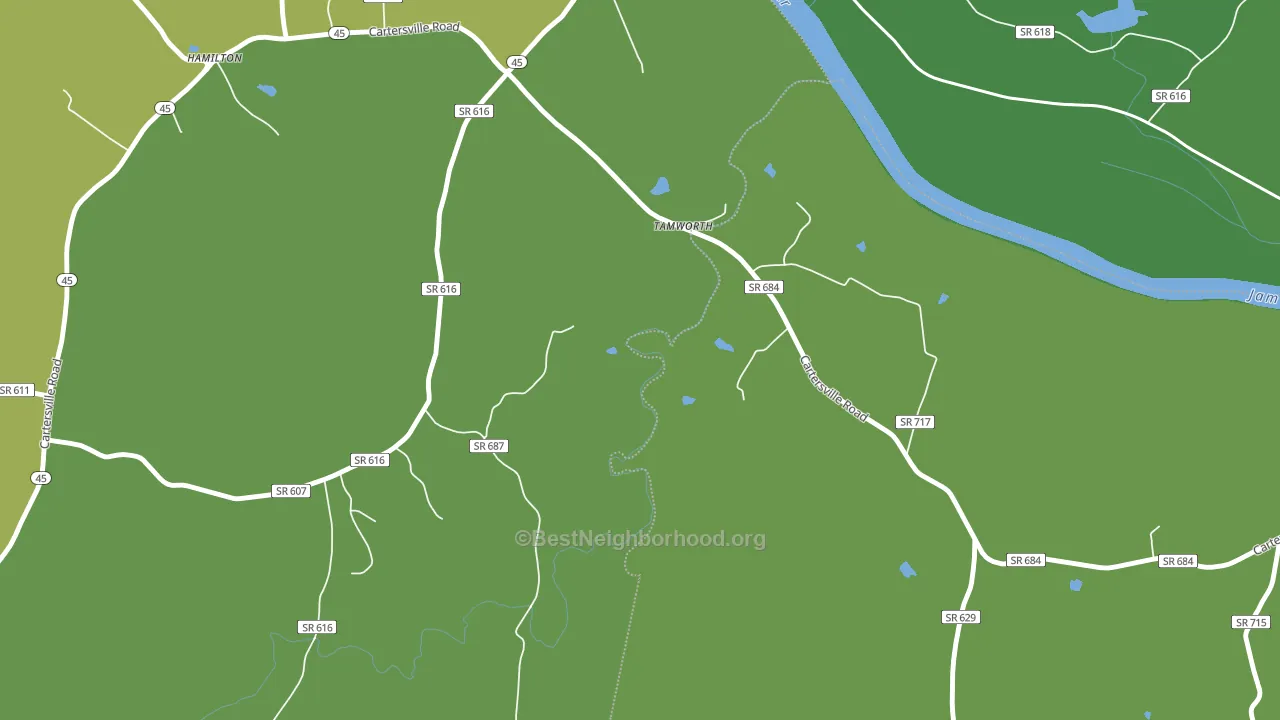 Tamworth, VA block-group voter-turnout map