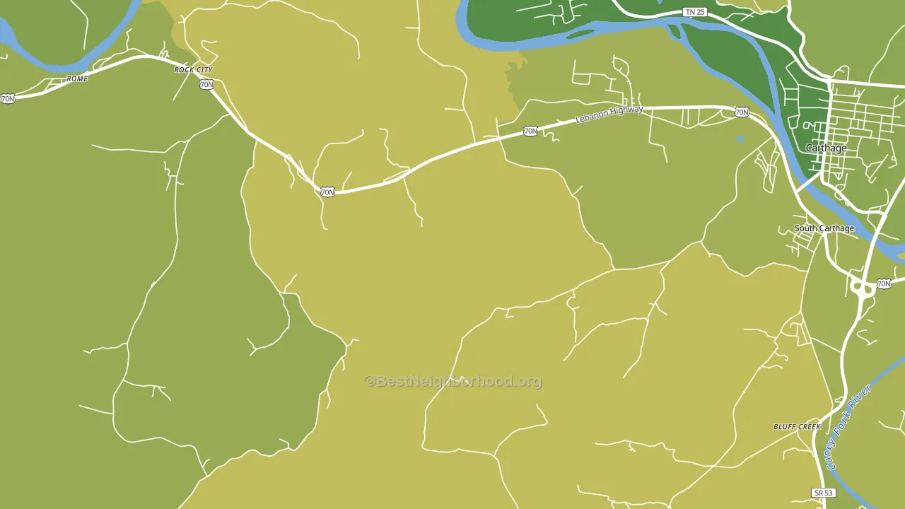 Tanglewood, TN block-group voter-turnout map