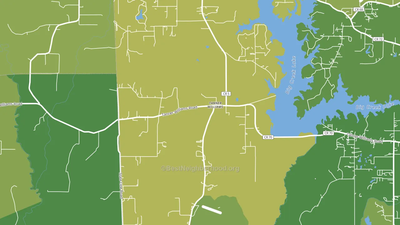 Tanner Williams, AL block-group voter-turnout map