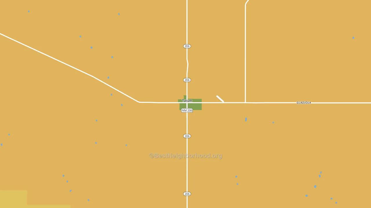 Tatum, NM block-group voter-turnout map