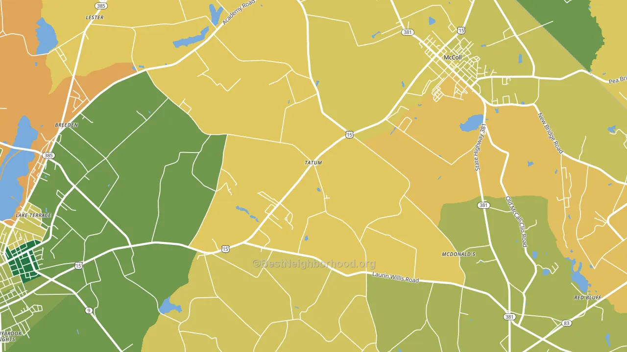 Tatum, SC block-group voter-turnout map