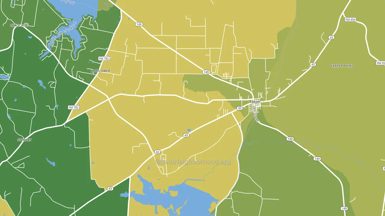 Tatum, TX block-group voter-turnout map