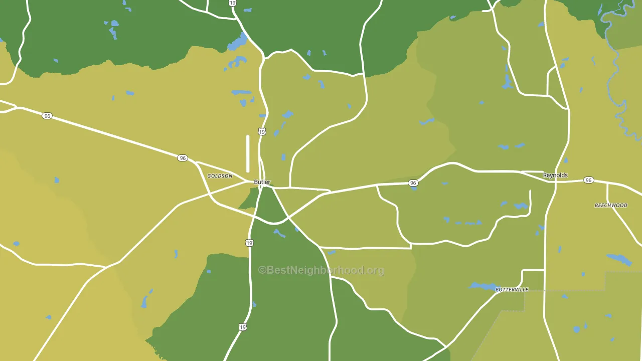 Taylor County, GA block-group voter-turnout map