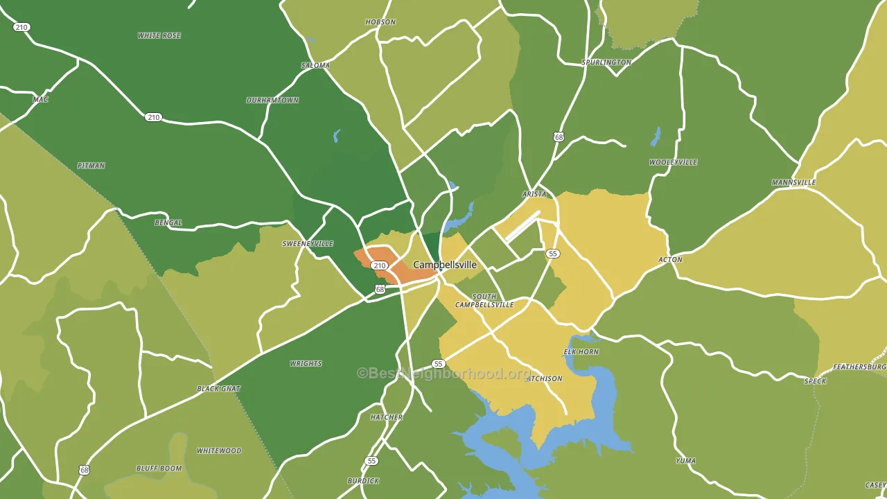 Taylor County, KY block-group voter-turnout map