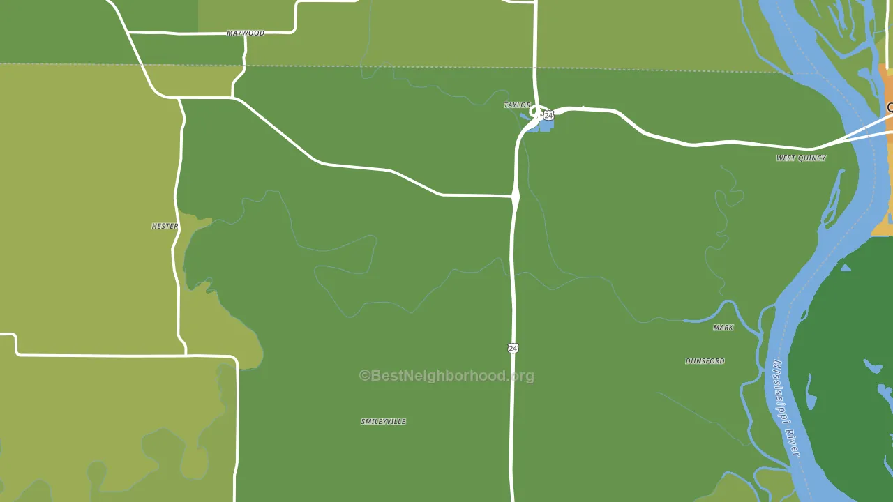 Taylor, MO block-group voter-turnout map