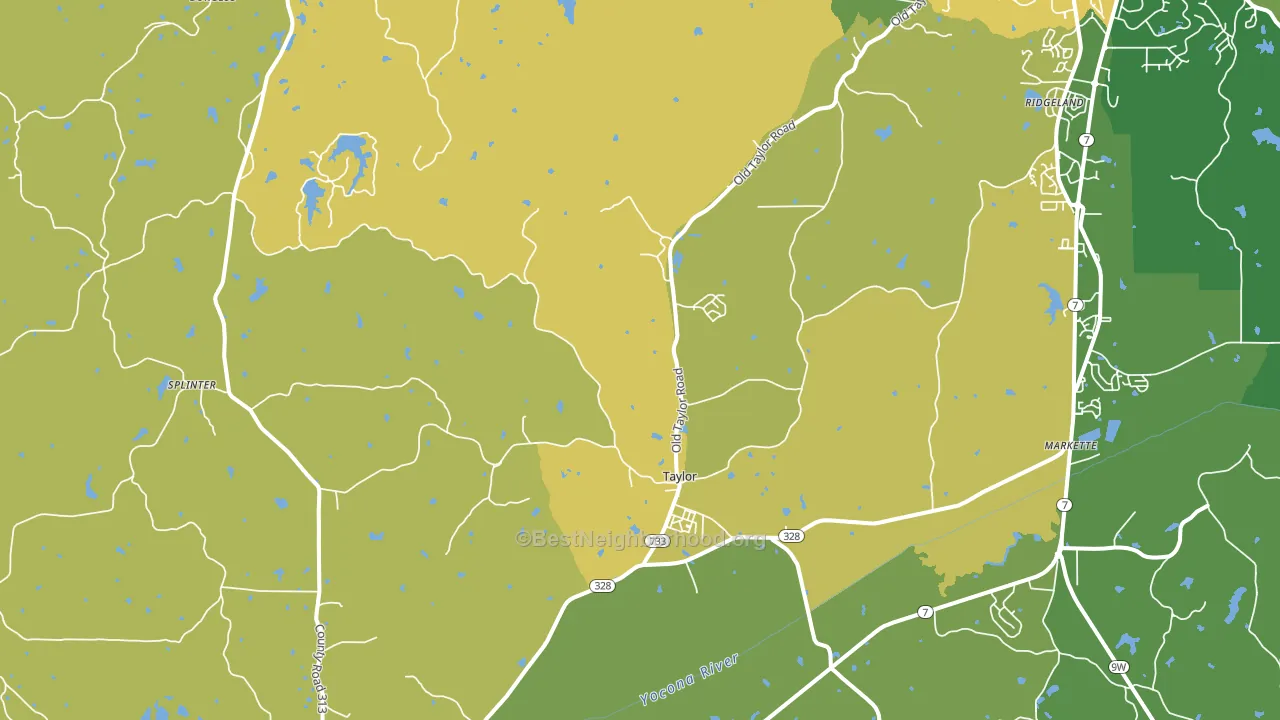 Taylor, MS block-group voter-turnout map