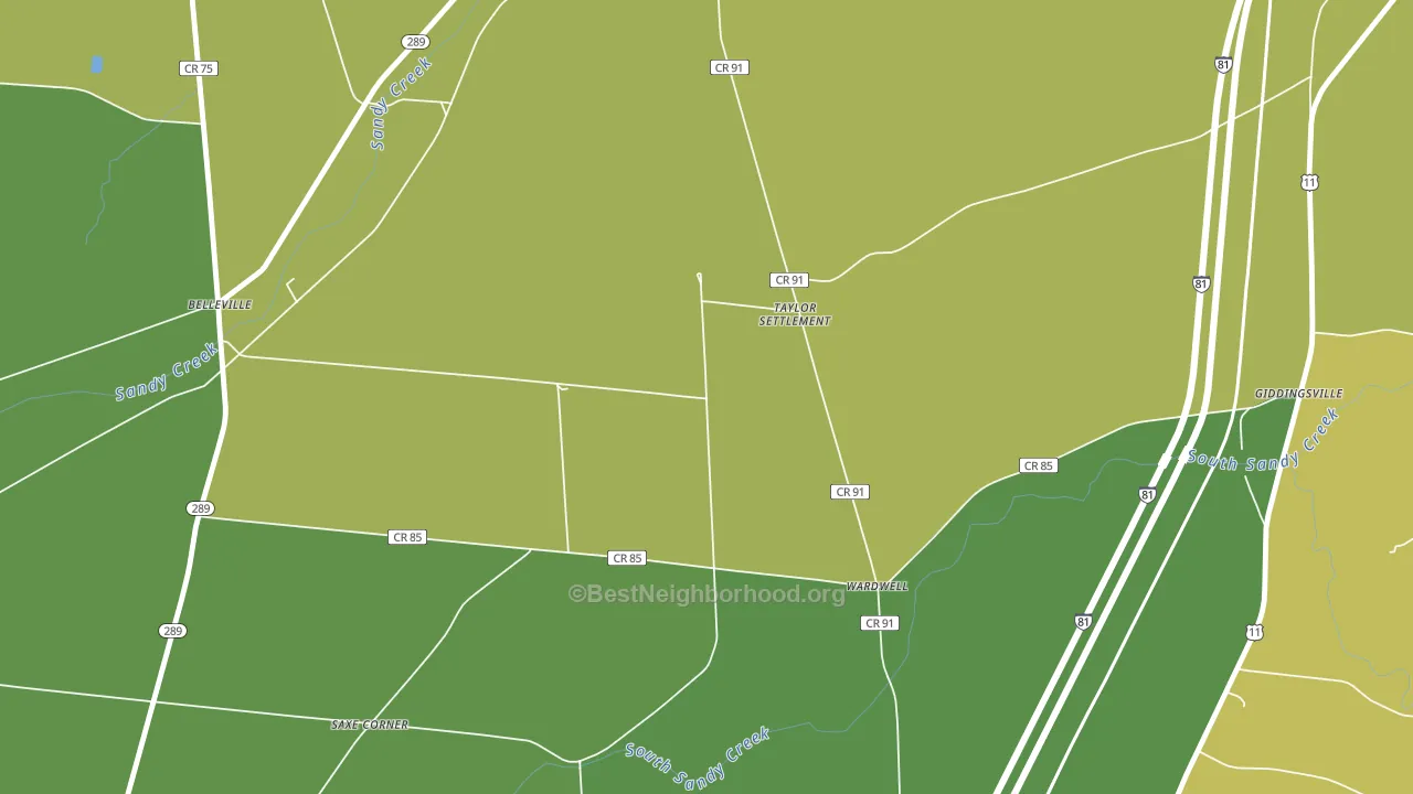 Taylor Settlement, NY block-group voter-turnout map
