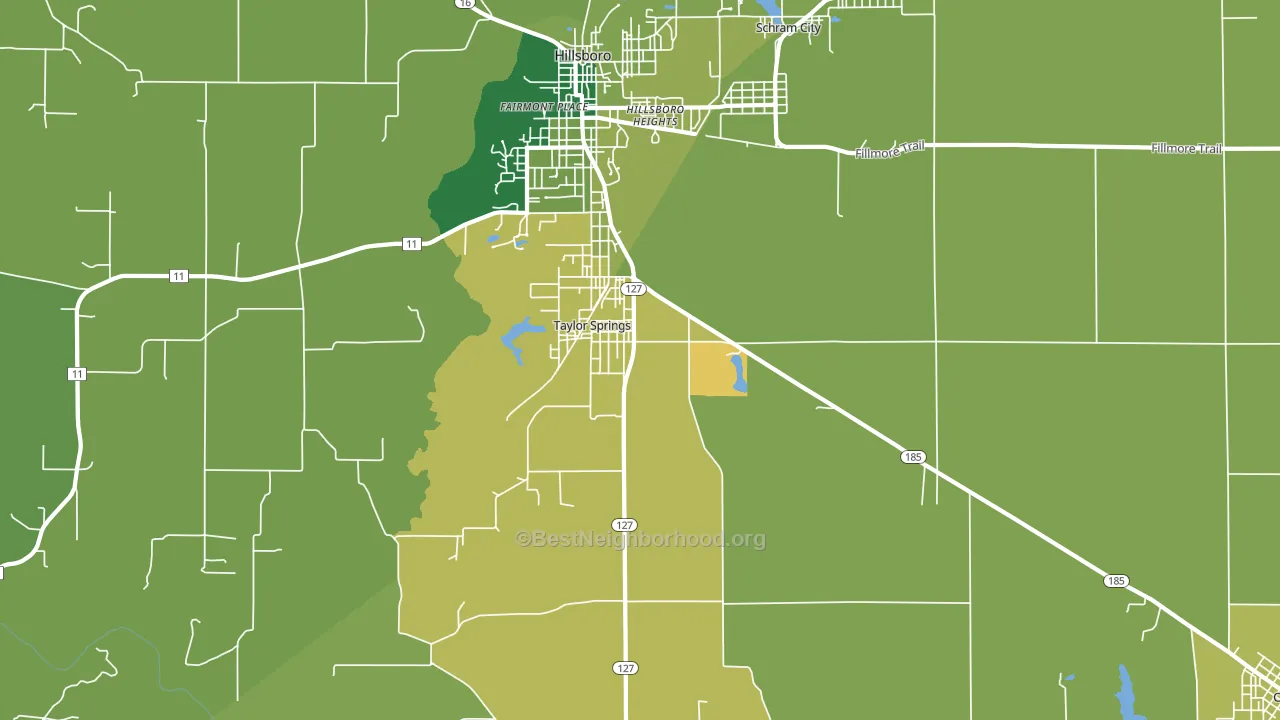 Taylor Springs, IL block-group voter-turnout map