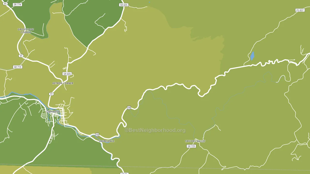 Taylors Valley, VA block-group voter-turnout map