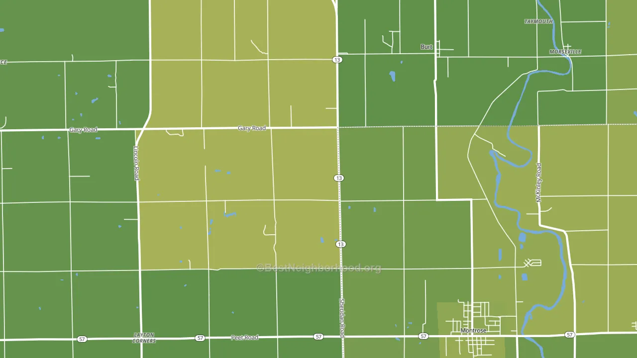 Taymouth, MI block-group voter-turnout map
