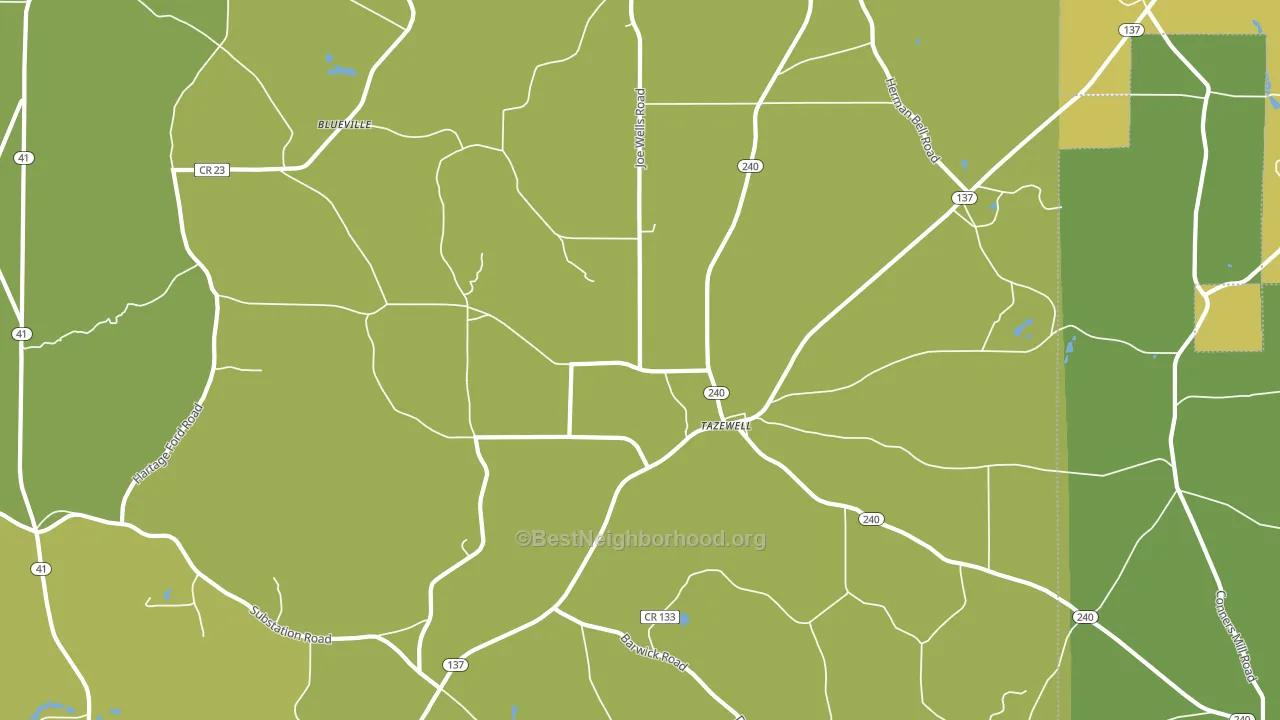 Tazewell, GA block-group voter-turnout map