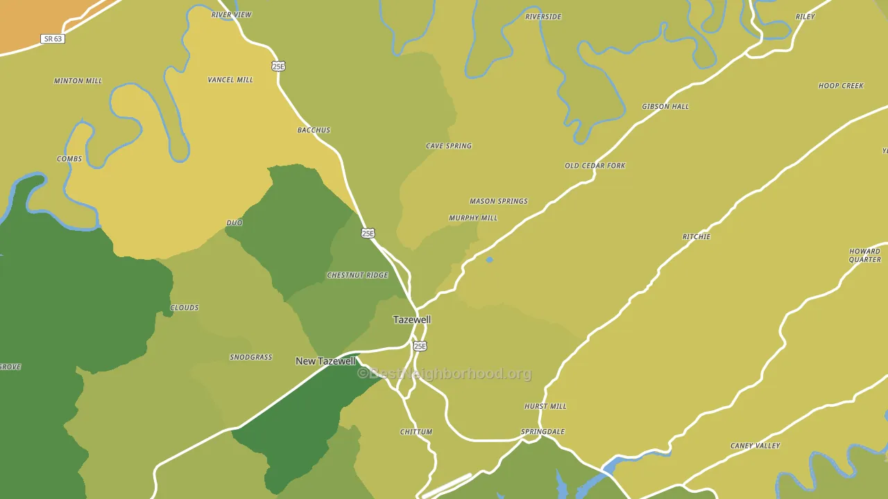 Tazewell, TN block-group voter-turnout map