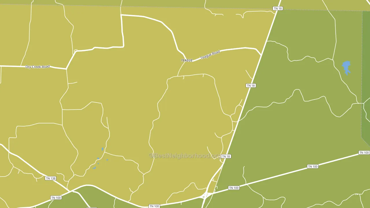 Teague, TN block-group voter-turnout map