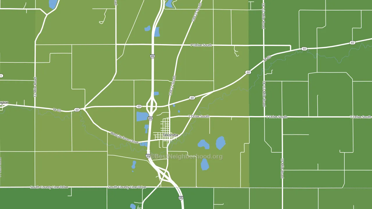 Tekonsha, MI block-group voter-turnout map