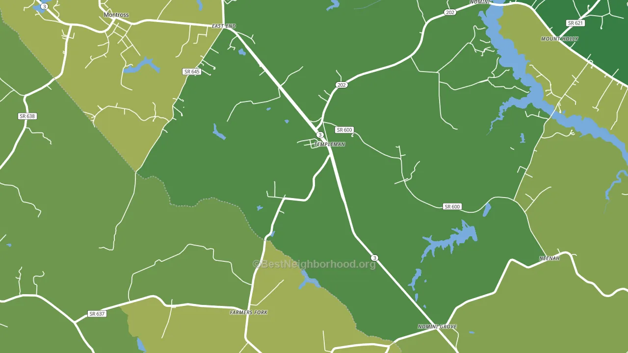 Templeman, VA block-group voter-turnout map