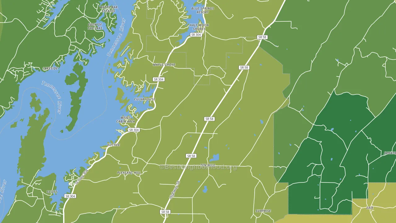Ten Mile, TN block-group voter-turnout map