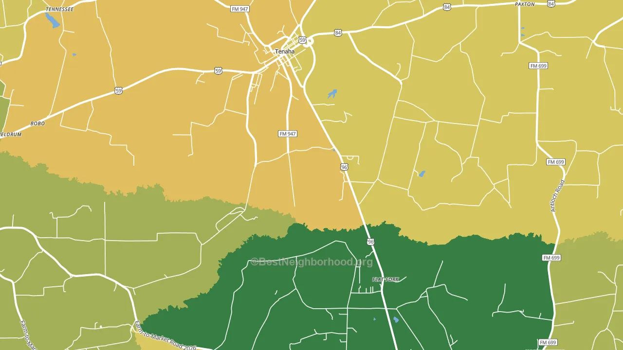 Tenaha, TX block-group voter-turnout map