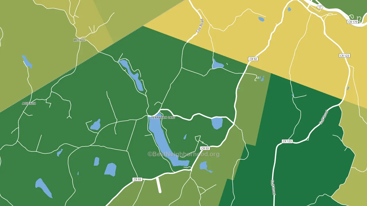 Tennanah Lake, NY block-group voter-turnout map