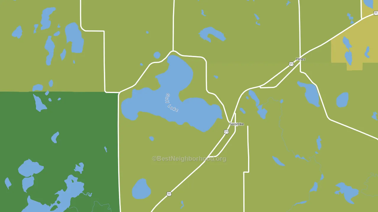 Tenstrike, MN block-group voter-turnout map