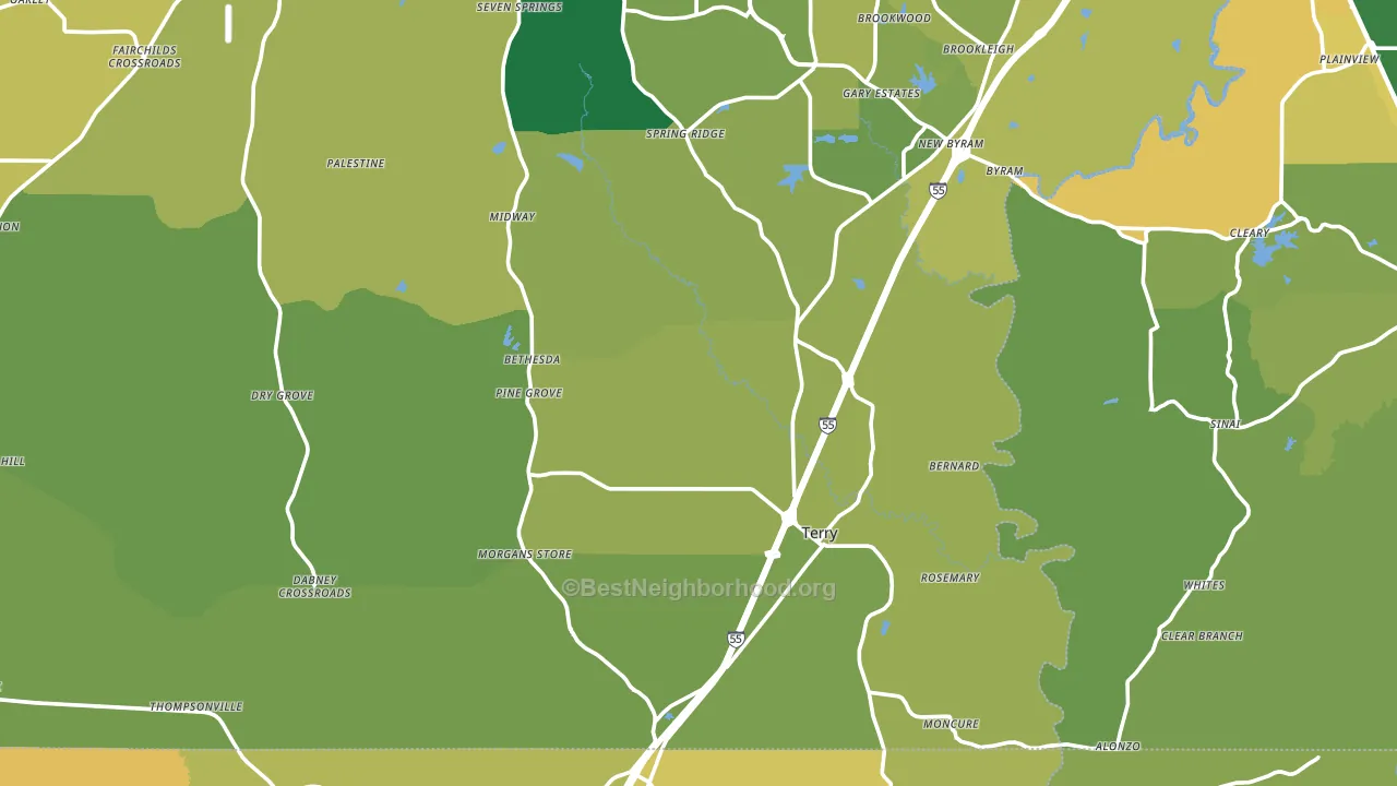 Terry, MS block-group voter-turnout map