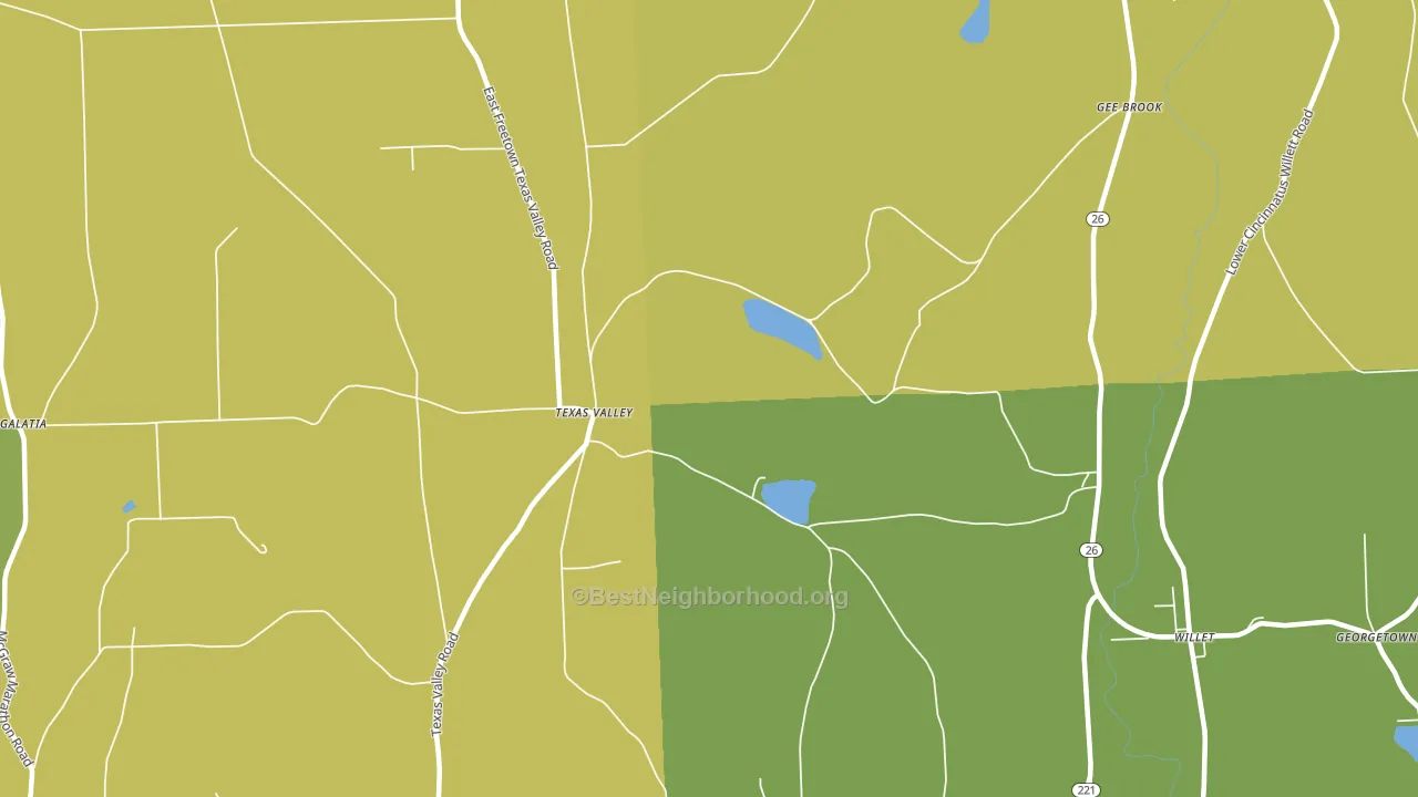 Texas Valley, NY block-group voter-turnout map