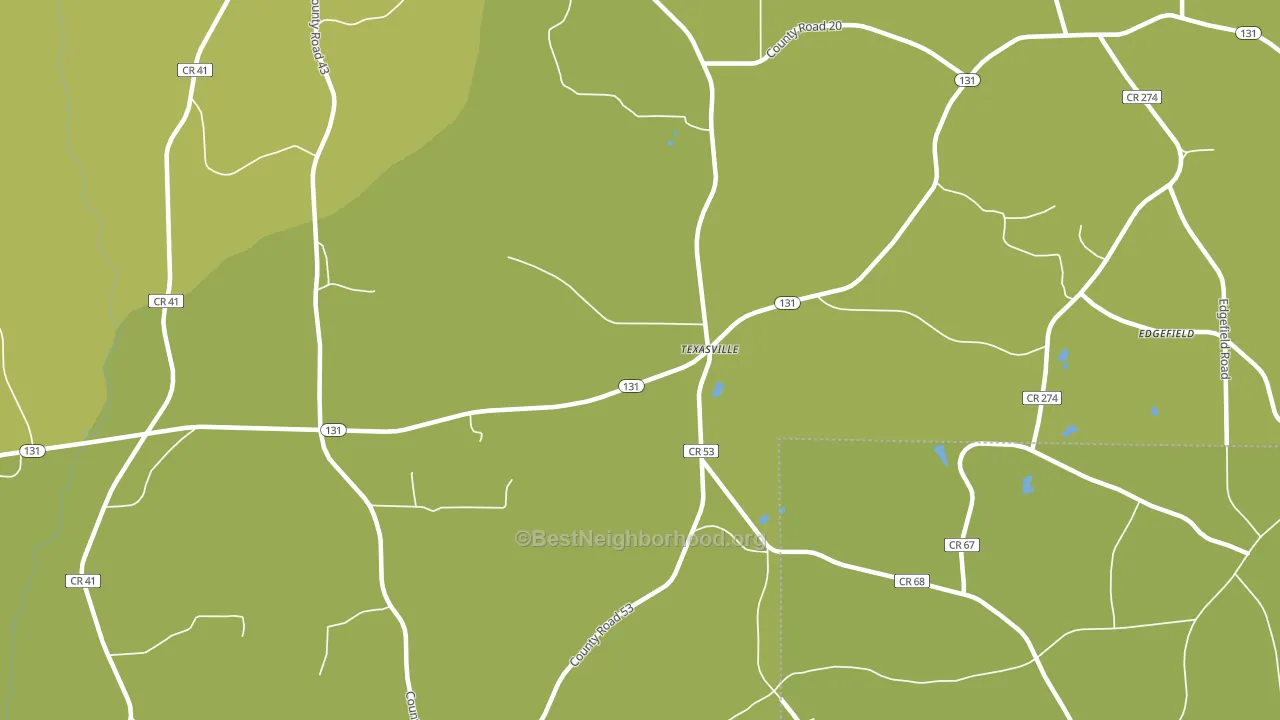 Texasville, AL block-group voter-turnout map