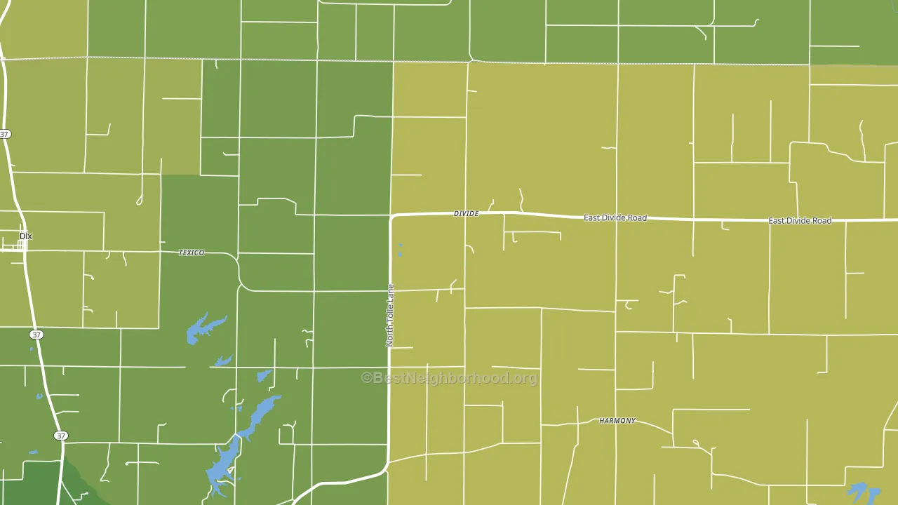 Texico, IL block-group voter-turnout map