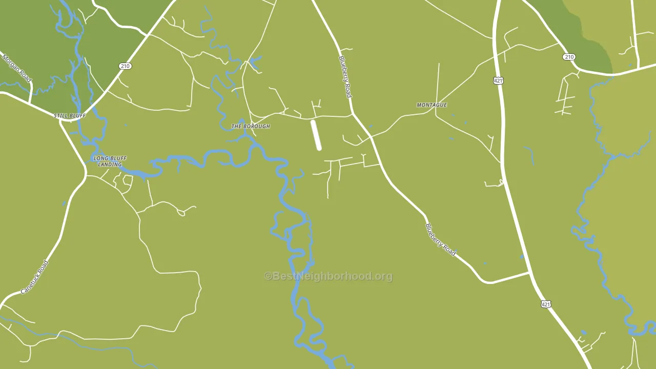 The Borough, NC block-group voter-turnout map
