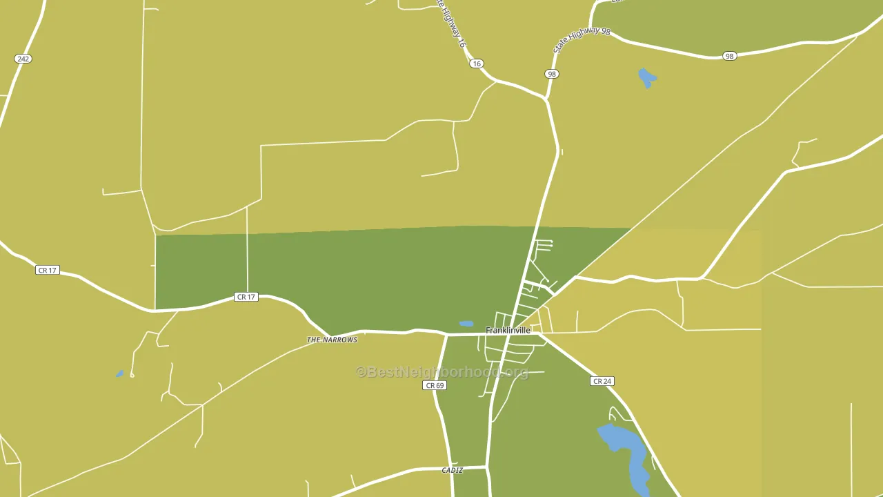 The Narrows, NY block-group voter-turnout map