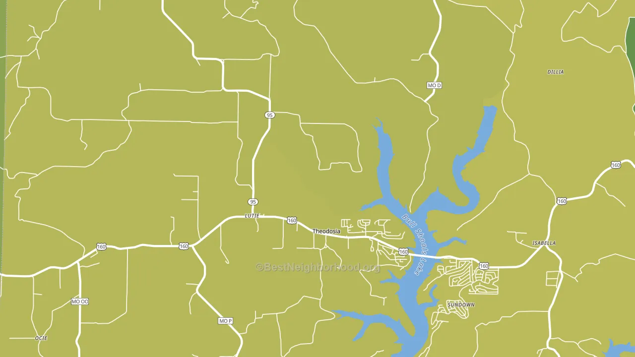 Theodosia, MO block-group voter-turnout map