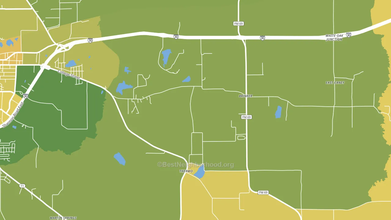 Thermo, TX block-group voter-turnout map