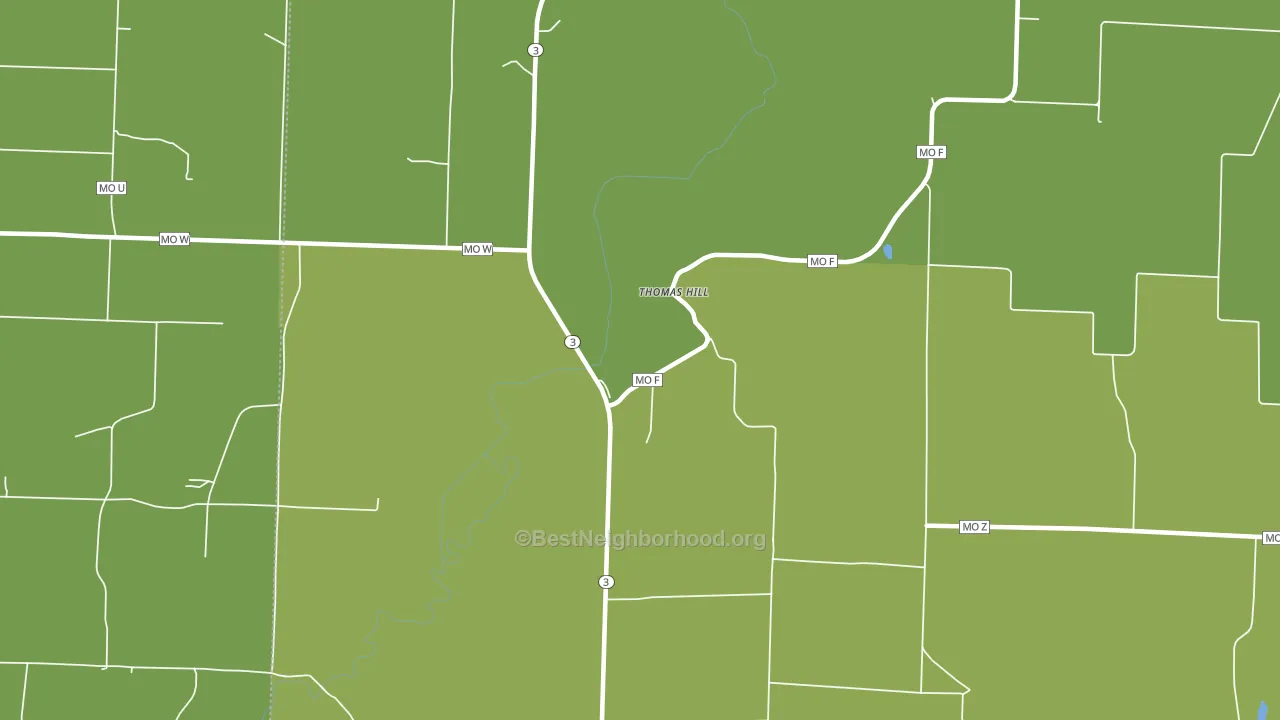 Thomas Hill, MO block-group voter-turnout map