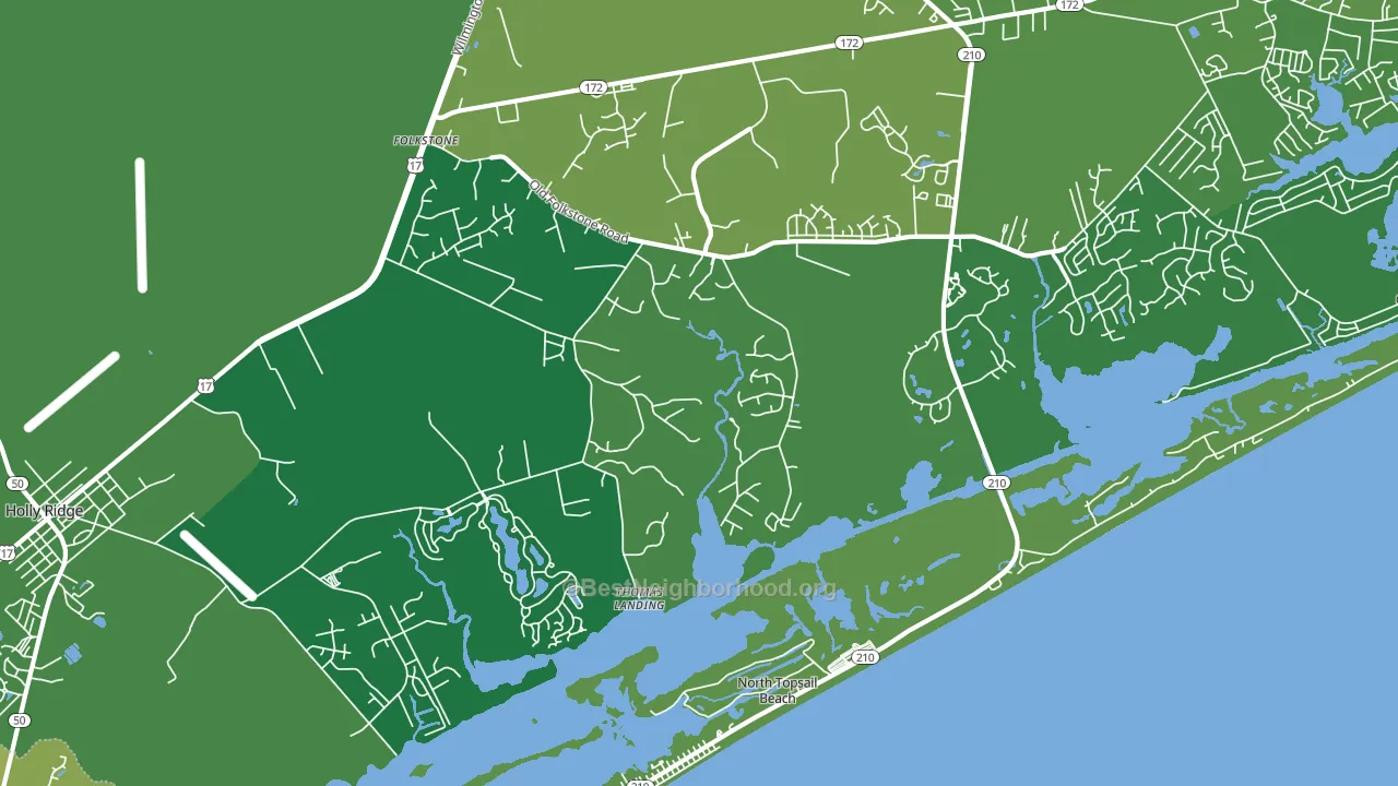 Thomas Landing, NC block-group voter-turnout map