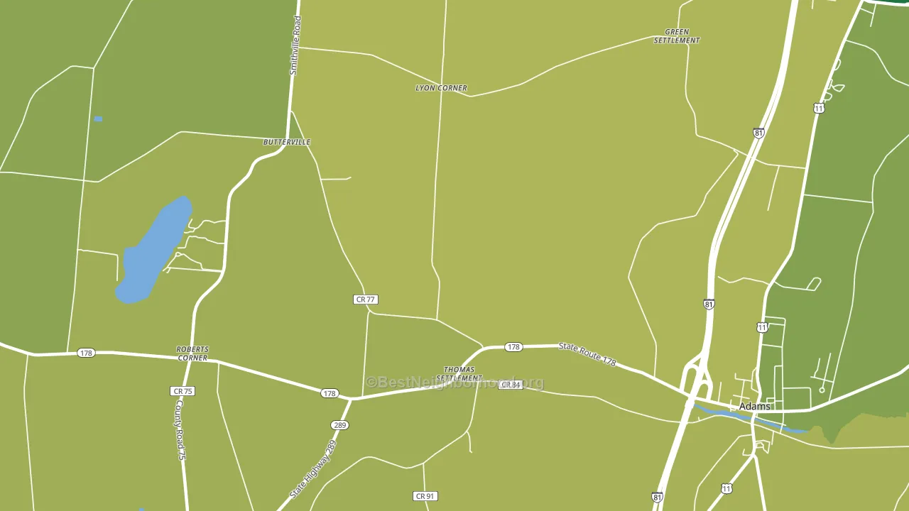 Thomas Settlement, NY block-group voter-turnout map