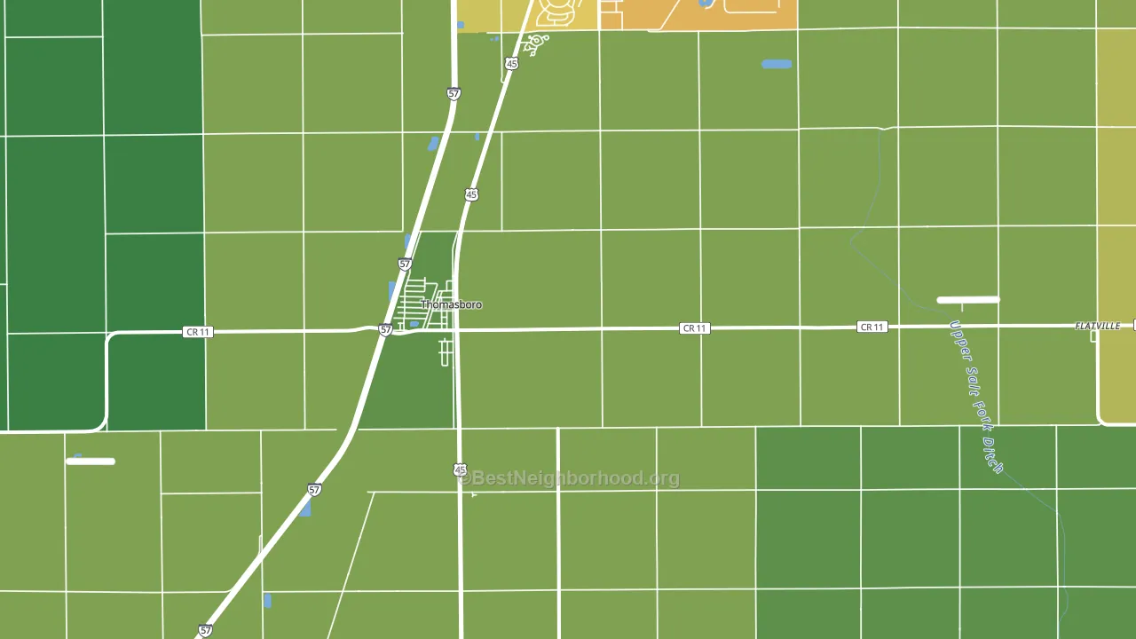 Thomasboro, IL block-group voter-turnout map