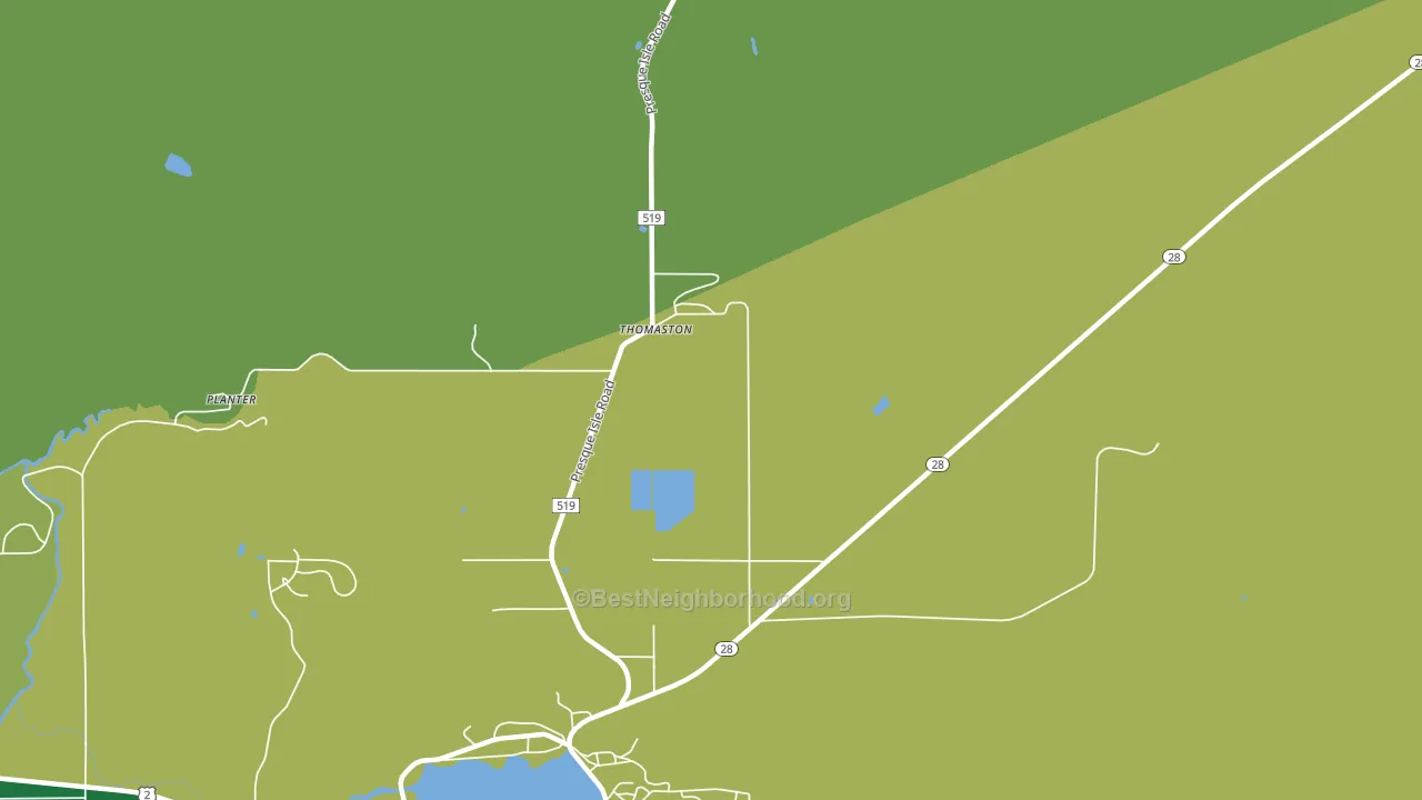 Thomaston, MI block-group voter-turnout map