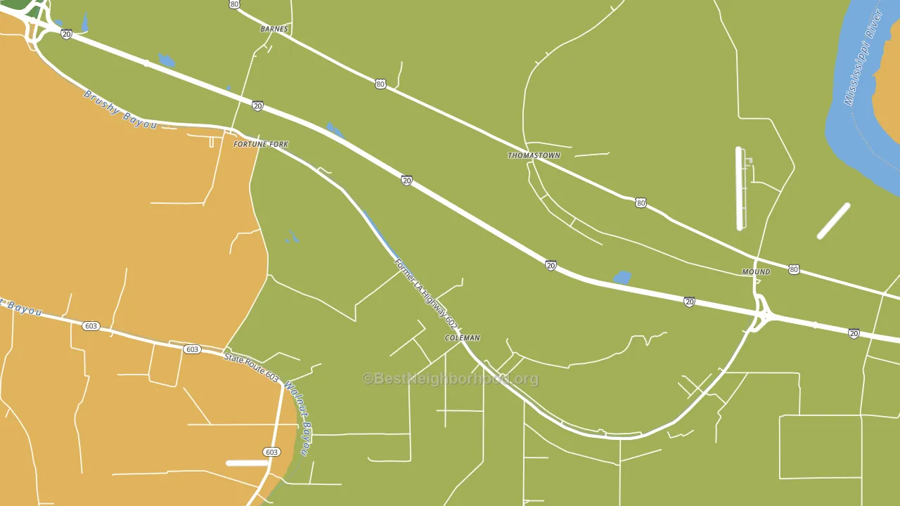 Thomastown, LA block-group voter-turnout map