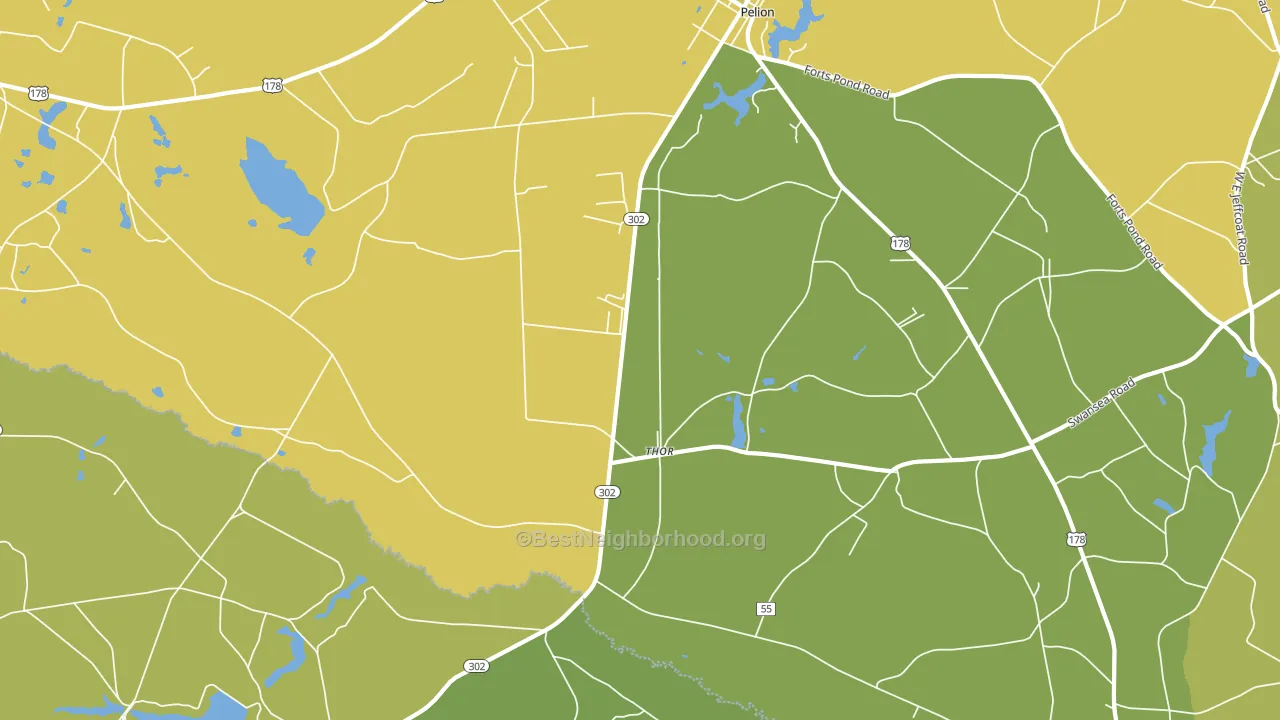 Thor, SC block-group voter-turnout map