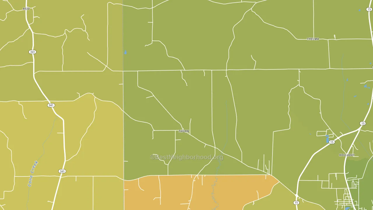 Thorn, MS block-group voter-turnout map