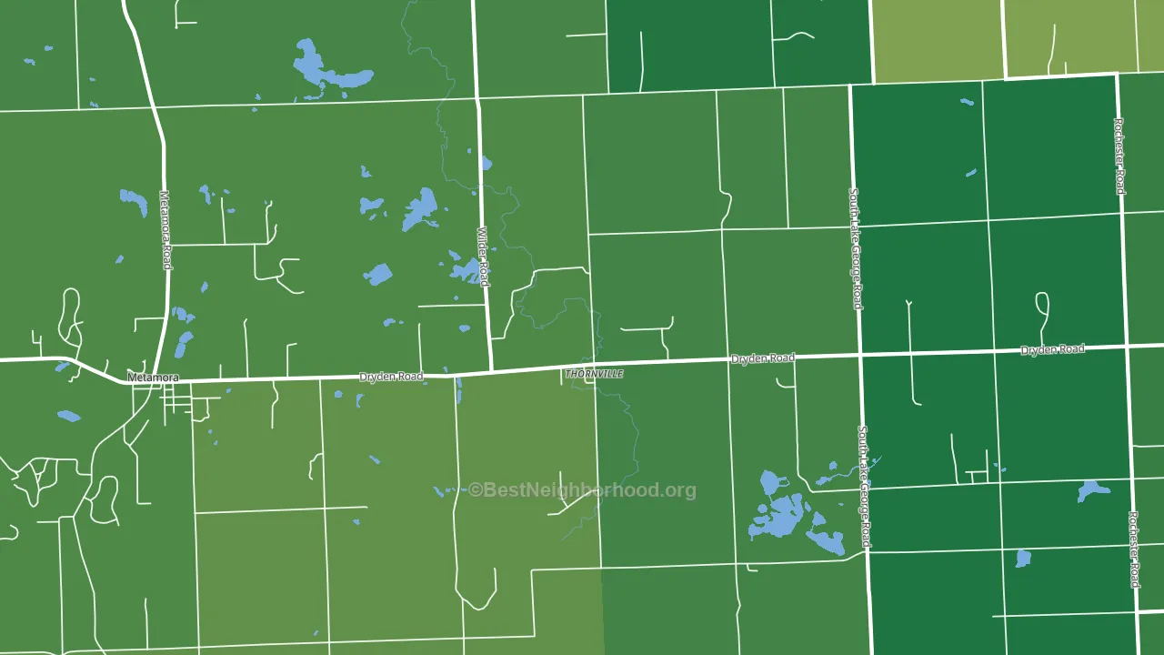 Thornville, MI block-group voter-turnout map