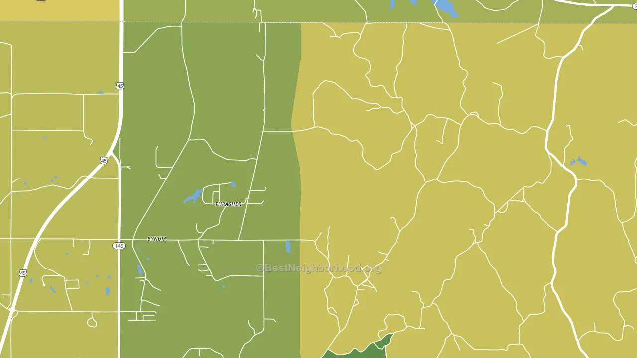 Thrasher, MS block-group voter-turnout map