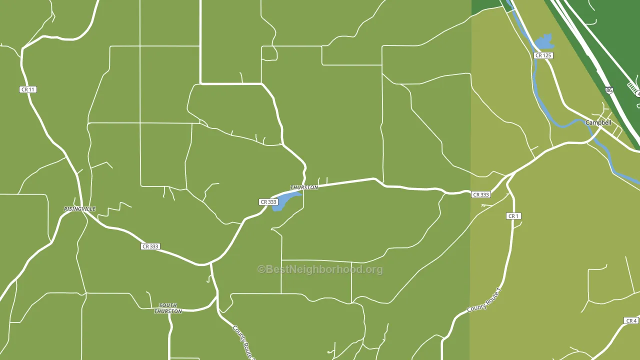 Thurston, NY block-group voter-turnout map