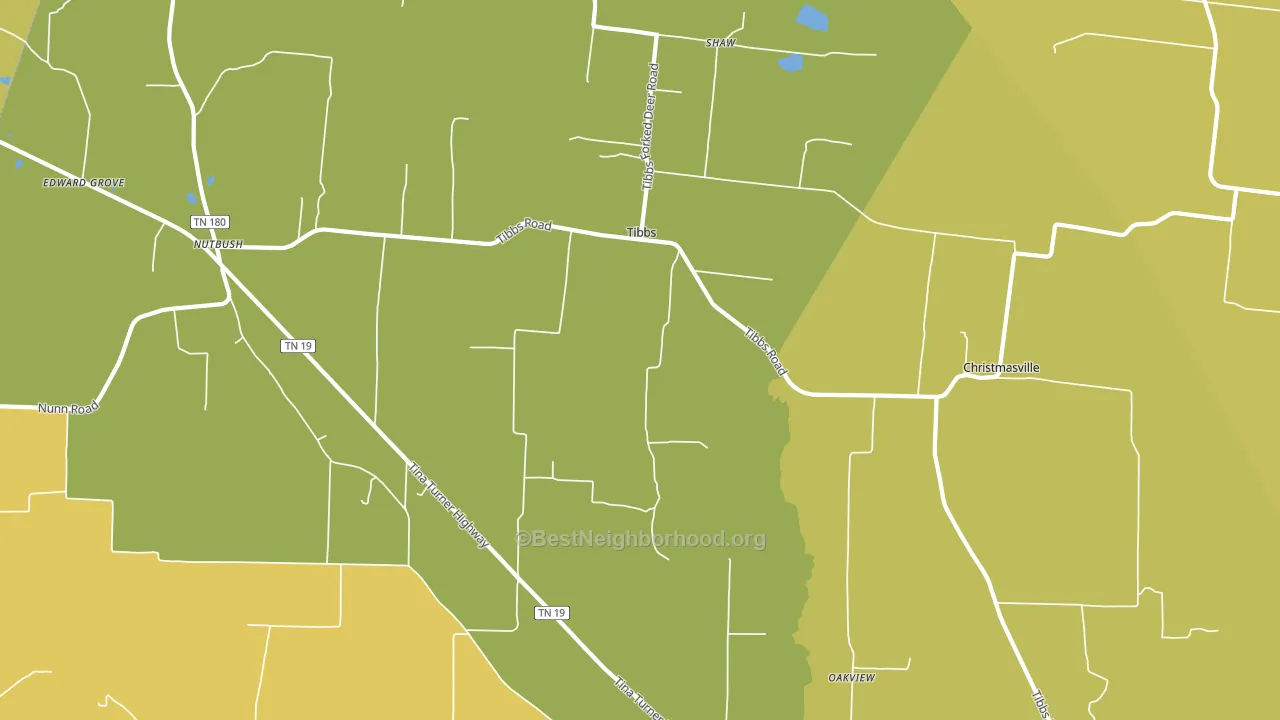 Tibbs, TN block-group voter-turnout map