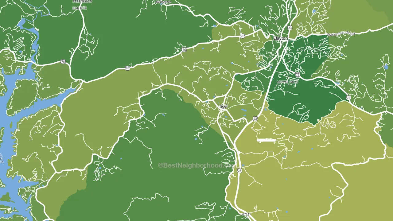 Tiger, GA block-group voter-turnout map