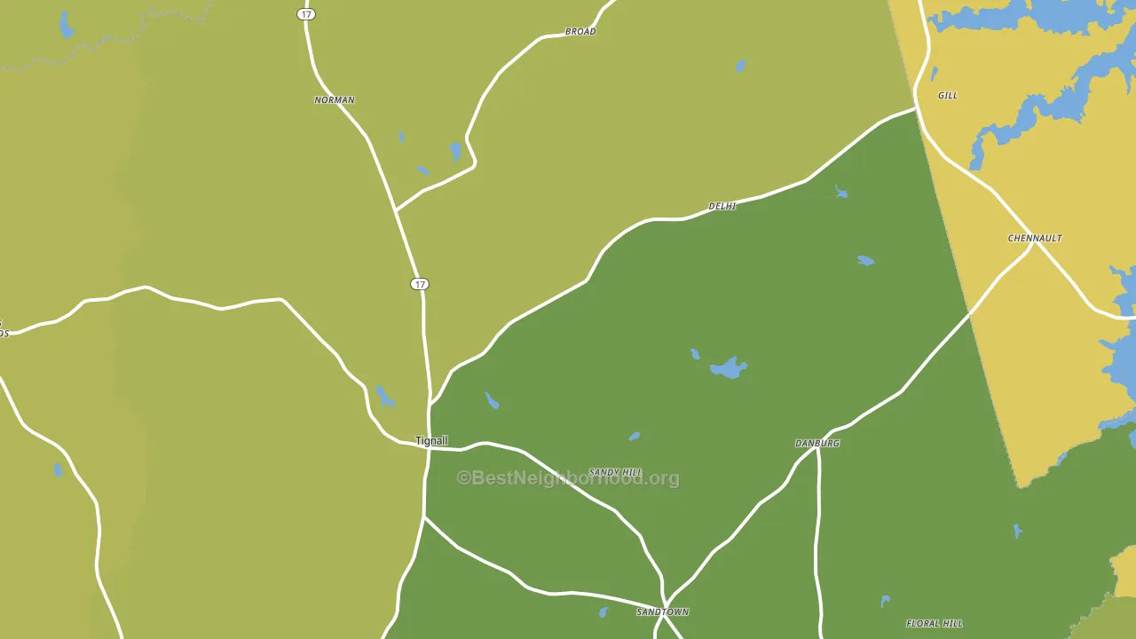 Tignall, GA block-group voter-turnout map