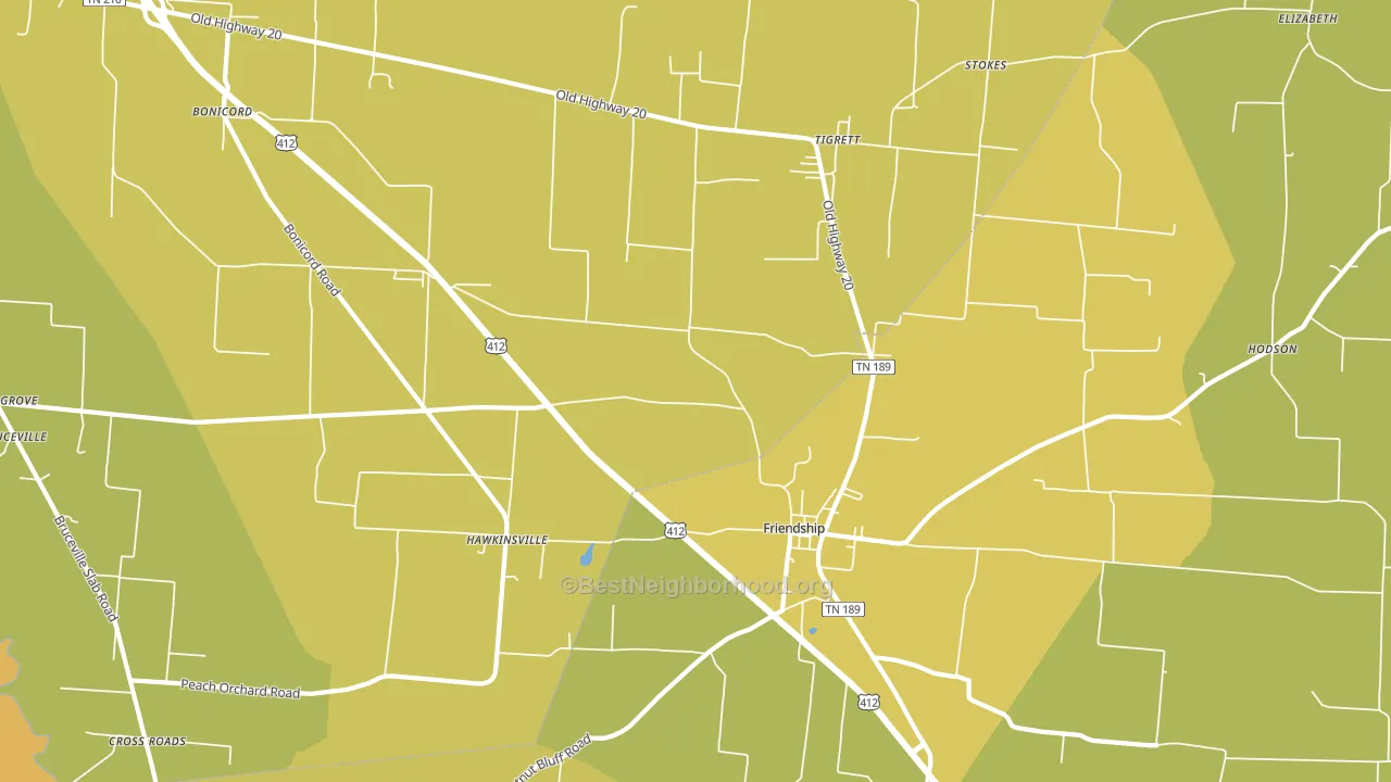 Tigrett, TN block-group voter-turnout map
